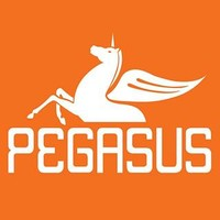 PEGASUS YAYINCILIK TİC.SAN.LTD.ŞTİ.